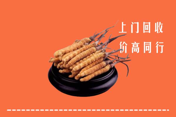 高价求购：徐州睢宁回收散虫草