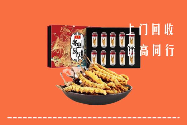 徐州睢宁回收虫草